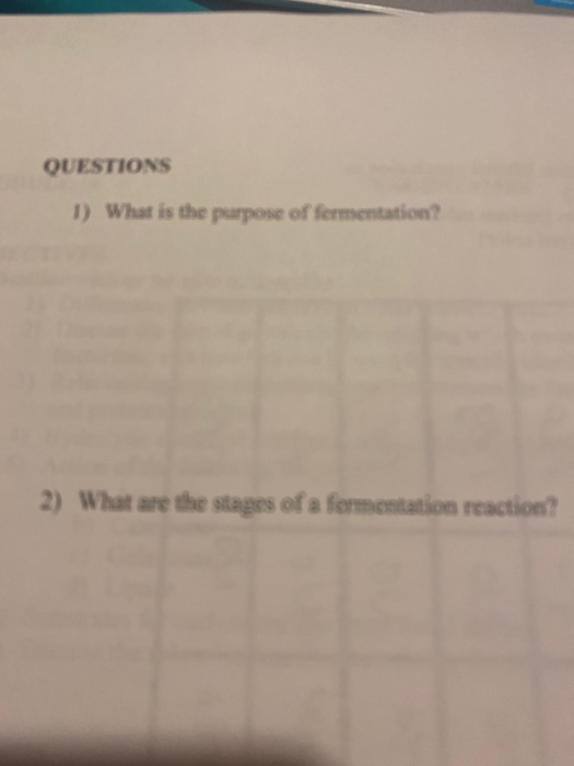 Solved QUESTIONS 1) What is the purpose of fermentation? 2) | Chegg.com