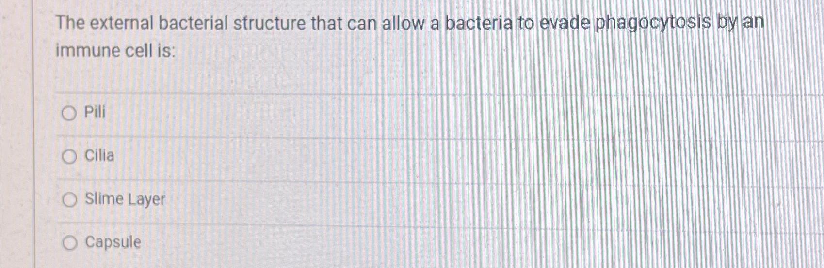 Solved The external bacterial structure that can allow a | Chegg.com