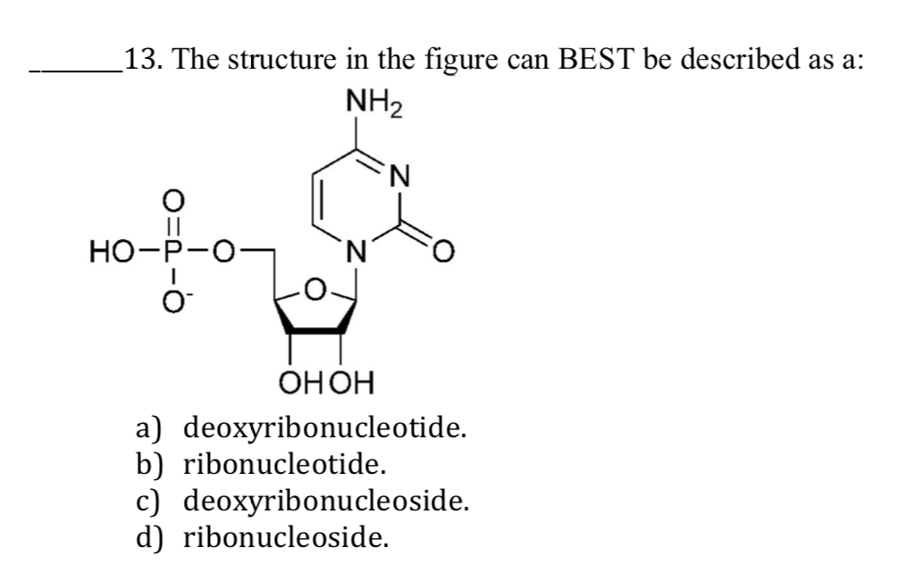 Solved The structure in the figure can BEST be described as | Chegg.com