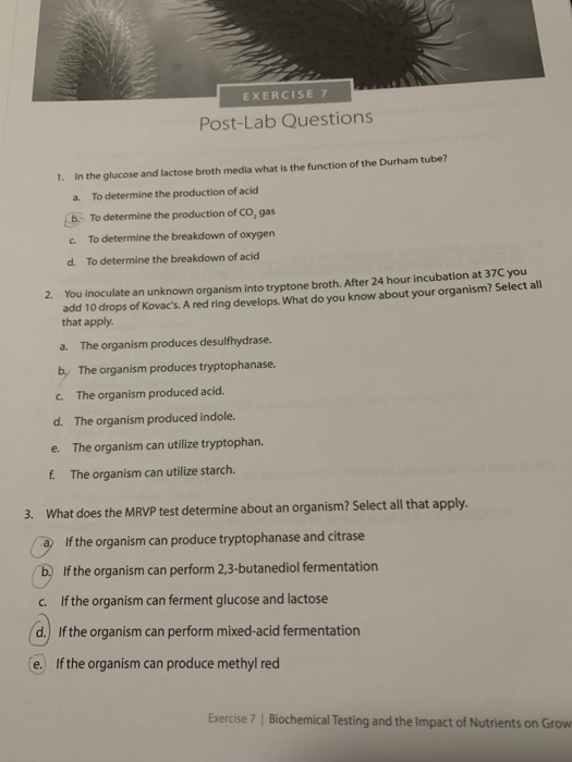 Solved EXERCISE 7 PostLab Questions 1. In the glucose and