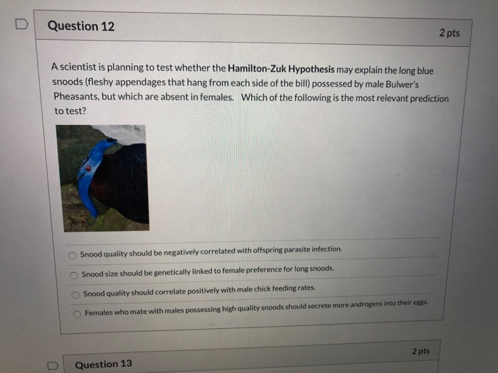 Solved Question 12 2 pts A scientist is planning to test