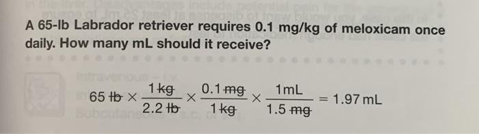 Solved A 65-lb Labrador retriever requires 0.1 mg/kg of | Chegg.com