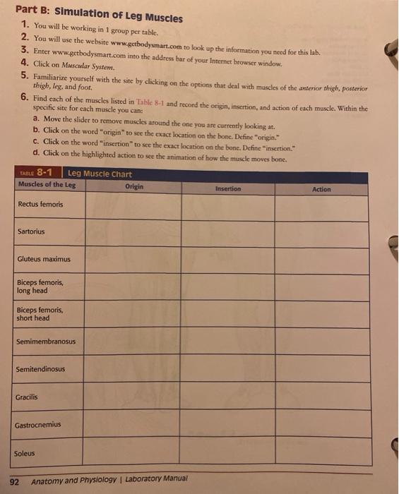 Part B Simulation Of Leg Muscles 1 You Will Be Chegg Com