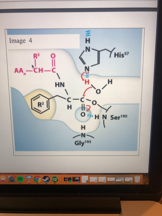 Solved Use Image 4 For The Following Question. Select All | Chegg.com