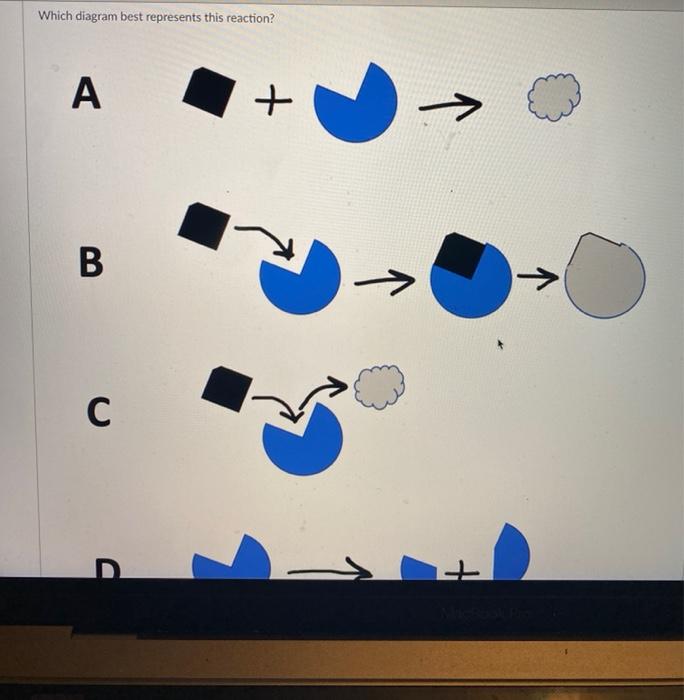 Solved The graph below shows the results of an experiment | Chegg.com