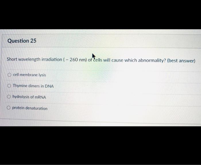 Solved You have isolated a bacterium from an infected | Chegg.com