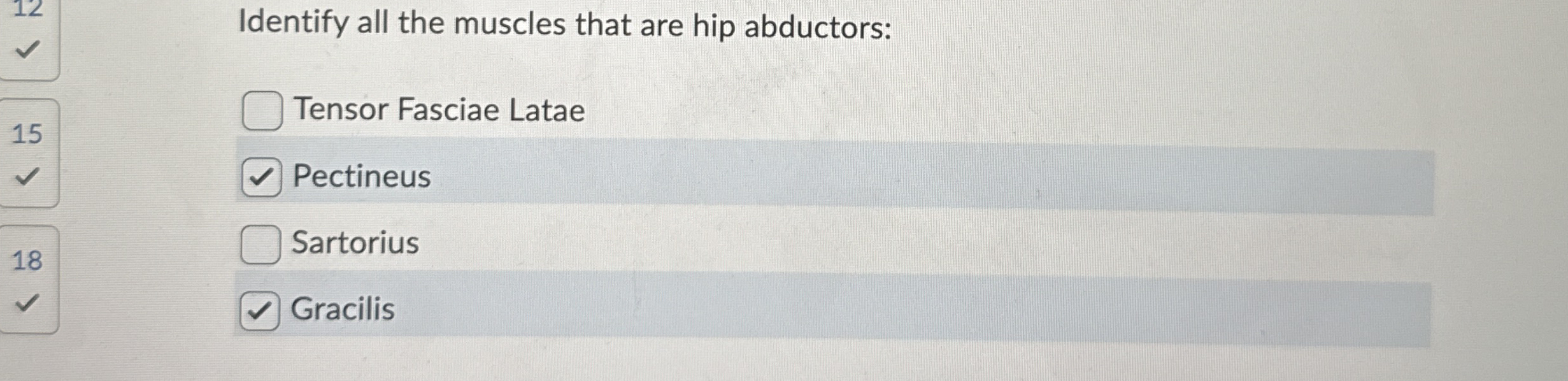 Solved Identify all the muscles that are hip