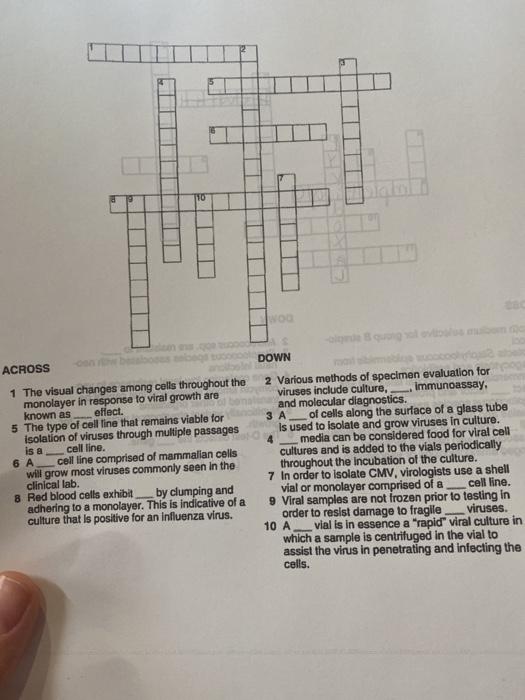 Solved 110 ACROSS 1 The visual changes among colls | Chegg.com