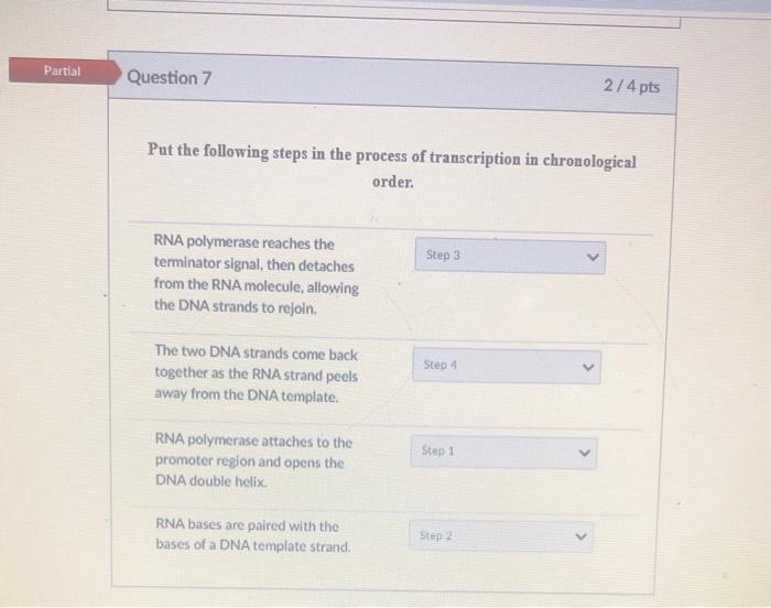 Solved Partial Question 7 2/4 pts Put the following steps in | Chegg.com