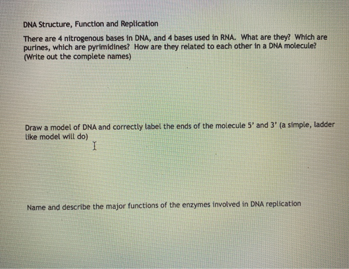 Solved DNA Structure, Function and Replication There are 4 | Chegg.com