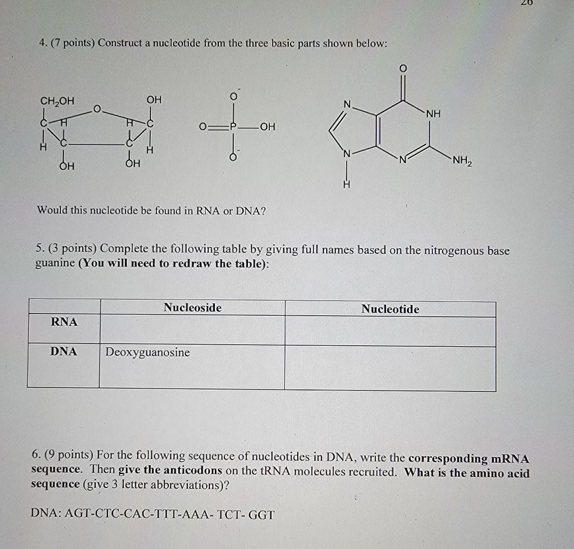 Solved 4. (7 points) Construct a nucleotide from the three | Chegg.com