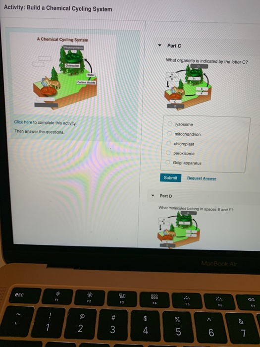 Solved Activity Build a Chemical Cycling System A Chemical