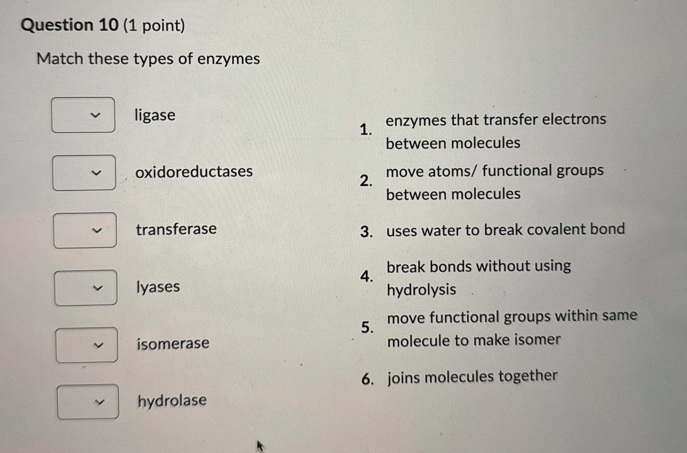 Solved Question 10 (1 ﻿point)Match these types of enzymes