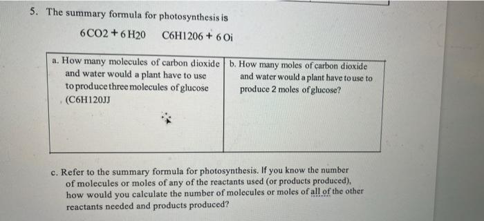 Solved 5. The summary formula for photosynthesis is 6CO2 + | Chegg.com