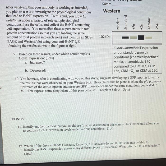 Solved why would NiNTA affinity chromatography be a poor