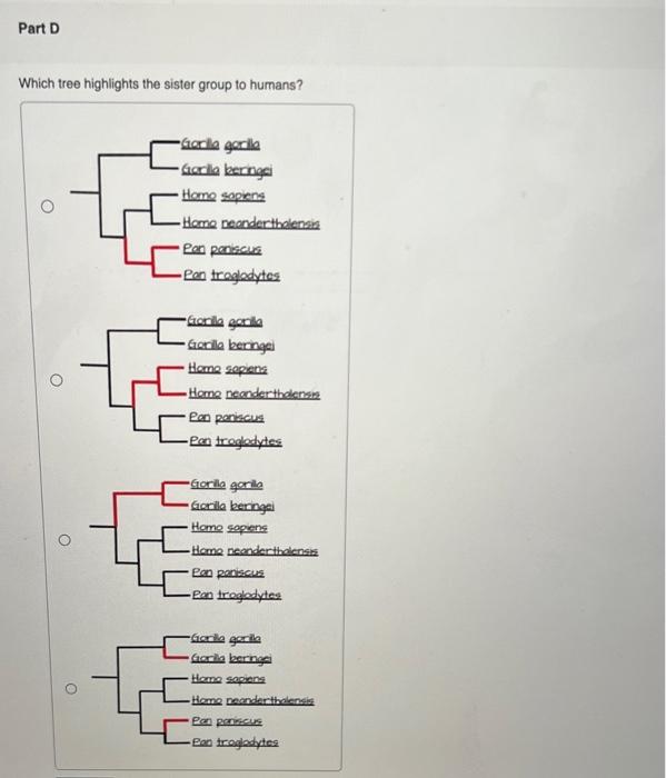 Which tree highlights the sister group to humans?