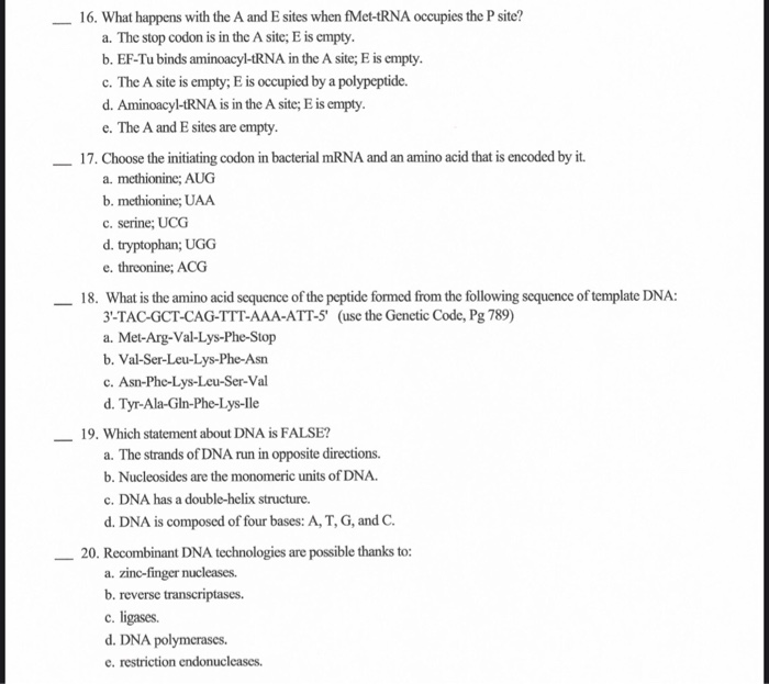 Solved 1. In transcription, the 3'-hydroxyl group: a. | Chegg.com