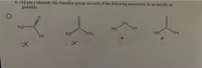 Solved 6. (12 pts.) Identify the function group on each of | Chegg.com