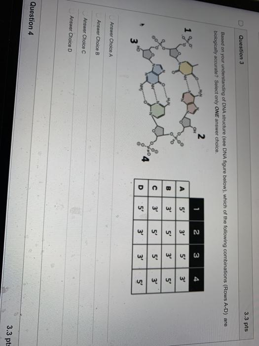 Solved 3.3 pts Question 3 Based on your understanding of DNA | Chegg.com
