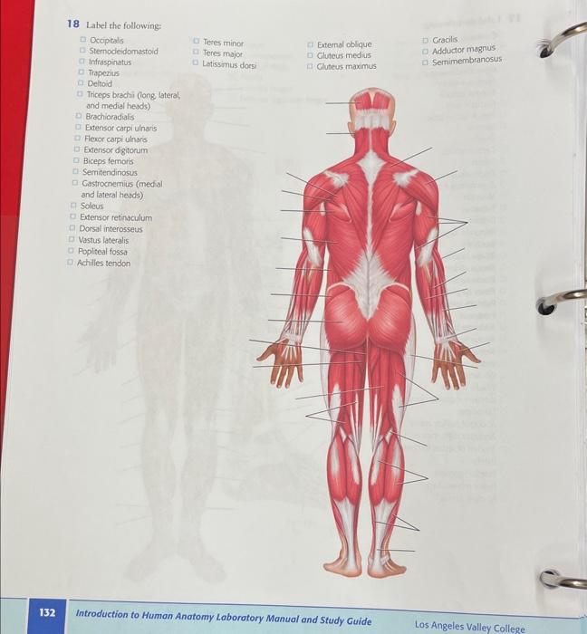Solved Introduction to Human Anatomy Laboratory Manual and