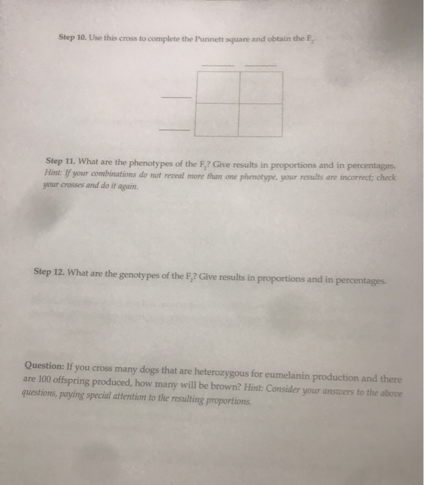 enrichment activity genetics problem solving chapter 27 answers