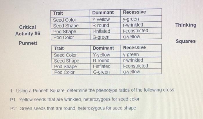 Solved Trait Seed Color Seed Shape Pod Shape Pod Color | Chegg.com