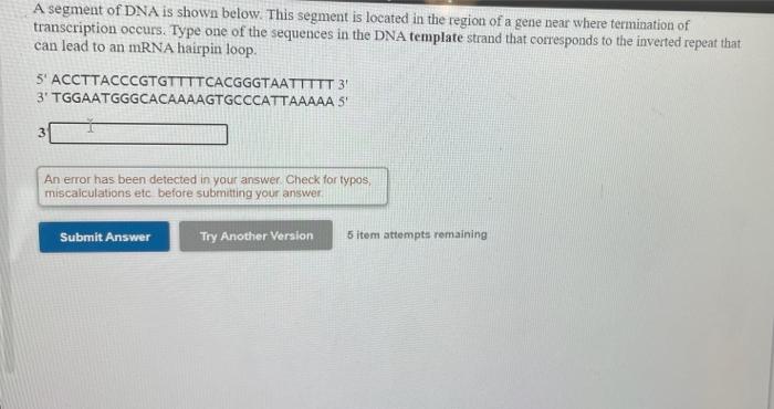 Solved A segment of DNA is shown below. This segment is | Chegg.com