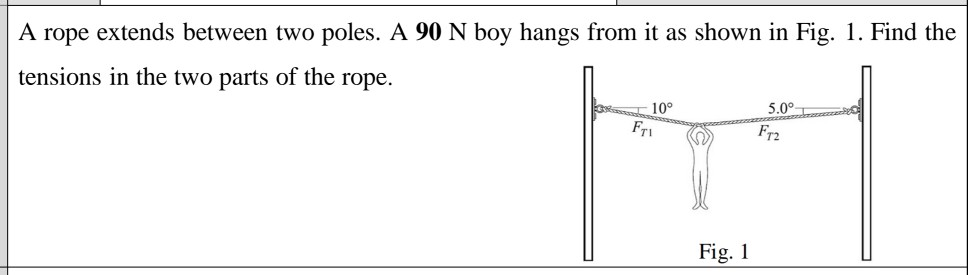 Solved A rope extends between two poles. A 90 N boy hangs | Chegg.com