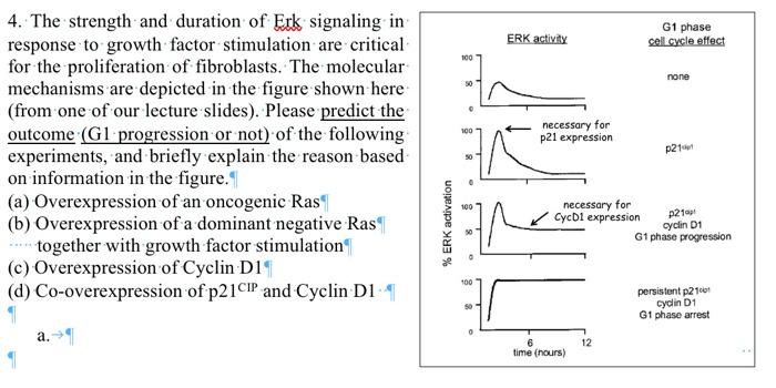 4. The strength and duration of Erk signaling in response to growth factor stimulation are critical for the proliferation of