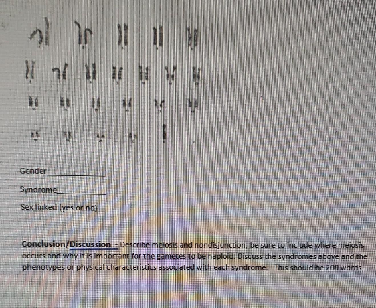 Solved Procedure 2-Observe the Karyotypes below and | Chegg.com