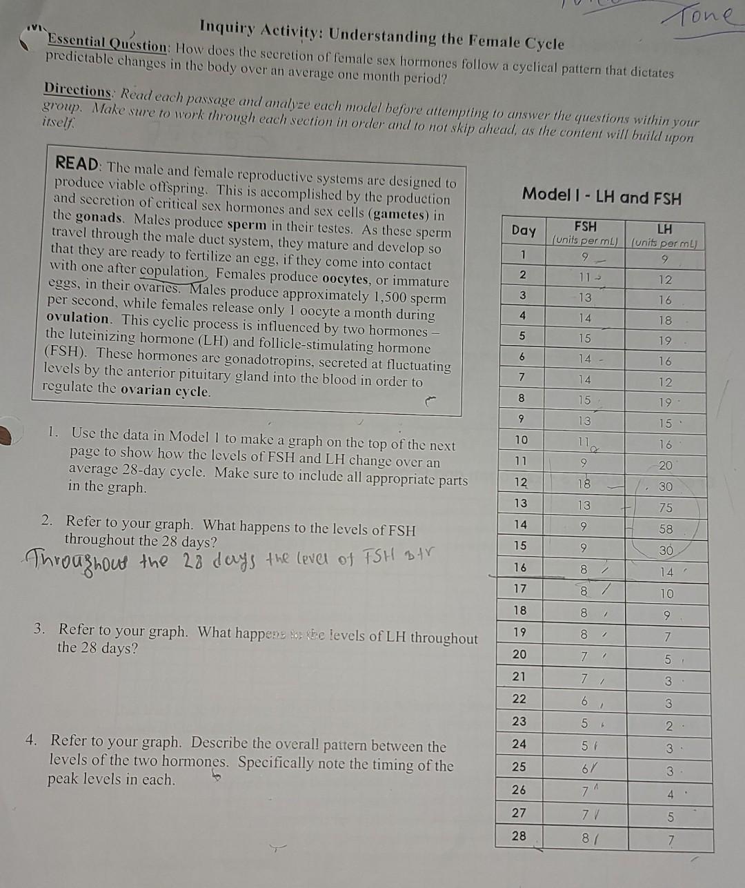Solved Tone Inquiry Activity: Understanding the Female Cycle | Chegg.com