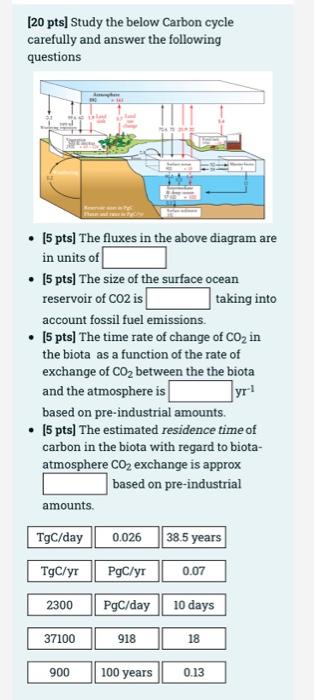 Solved [20 pts] Study the below Carbon cycle carefully and | Chegg.com