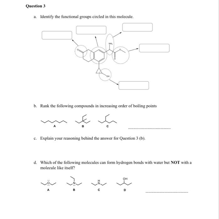 a. Identify the functional groups circled in this molecule.
b. Rank the following compounds in increasing order of boiling po