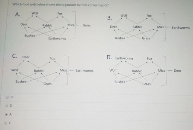 Solved Which food web below shows the organisms in their | Chegg.com