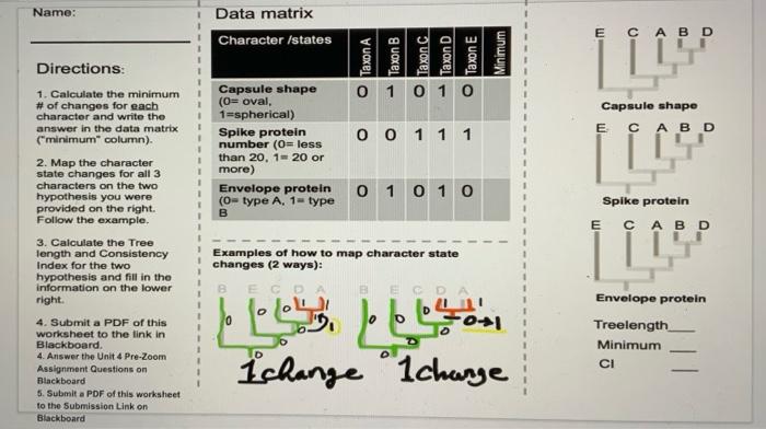 Solved Name: Data matrix Character /states E CABD C Taxon A 