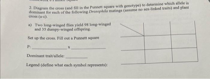 Solved 2. Diagram the cross (and fill in the Punnett square | Chegg.com