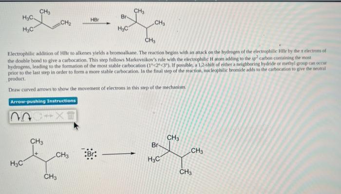 Solved ㅅ w B Which of the alkenes above is the least stable | Chegg.com