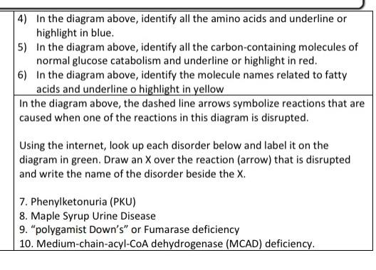 Solved 4) In the diagram above, identify all the amino acids | Chegg.com