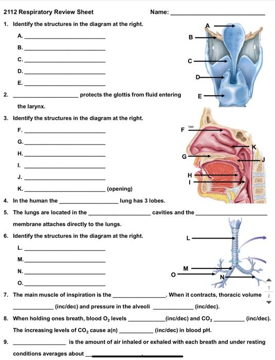 Glottisdiagramm