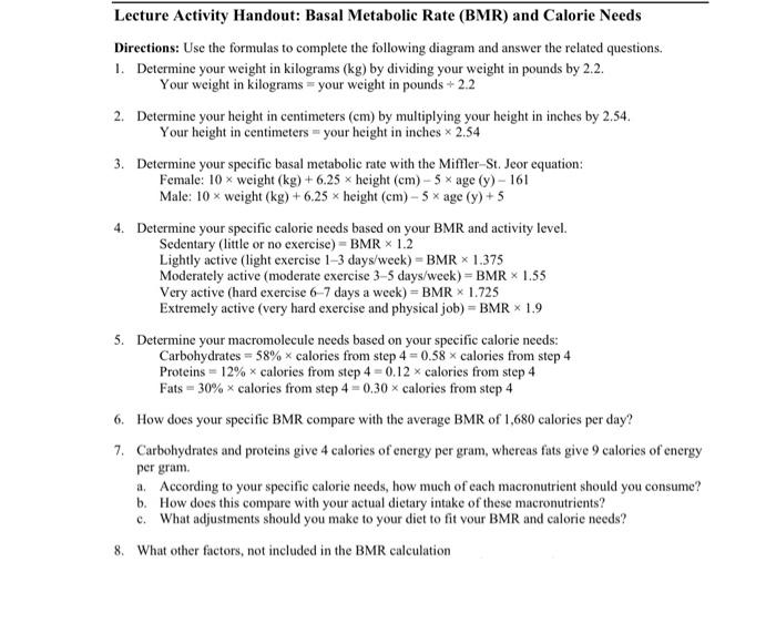 Solved Lecture Activity Handout: Basal Metabolic Rate (BMR) | Chegg.com