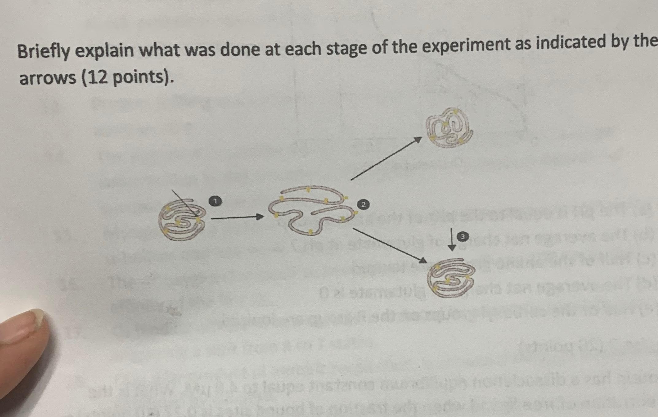 Solved Briefly explain what was done at each stage of the | Chegg.com