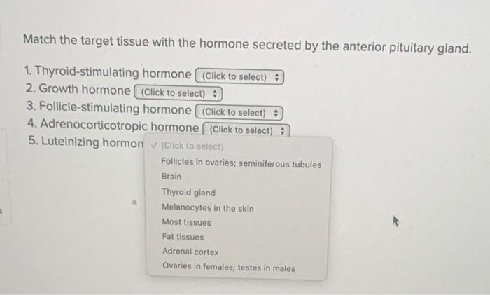solved match the target tissue with the hormone secreted by chegg com