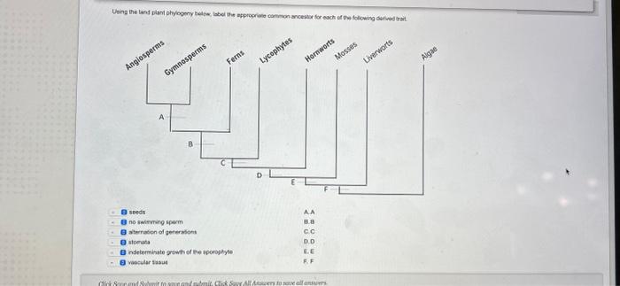 Solved Using The Land Plant Phylogeny Below, Label The | Chegg.com