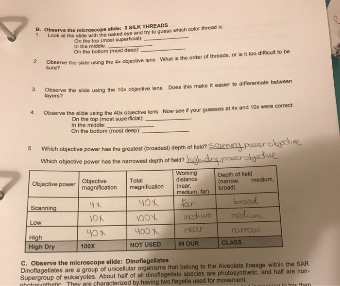 Solved Observe the microscope slide 3 SILK THREADS ook at