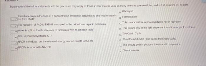 Solved A v Match each of the below statements with the | Chegg.com