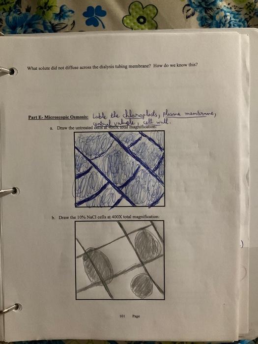 Solved Barts B-and C. Diffusion Through Air. I Inatad Which | Chegg.com