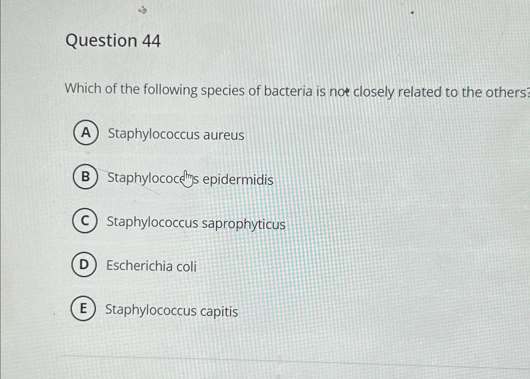 Solved Question 44Which of the following species of bacteria | Chegg.com