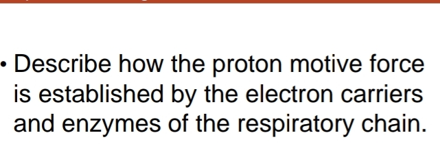 Solved Describe how the proton motive force is established | Chegg.com