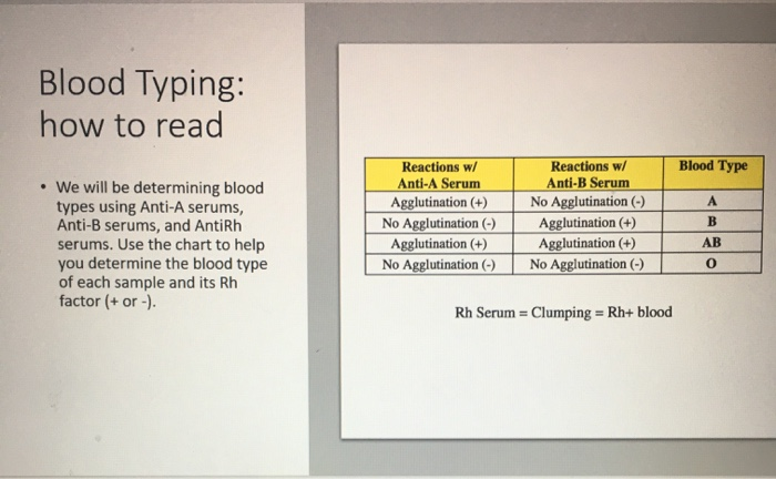 Blood Typing How To Read Blood Type Reactions W Chegg Com