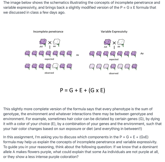 What Components From The Following Equation P G E Chegg Com